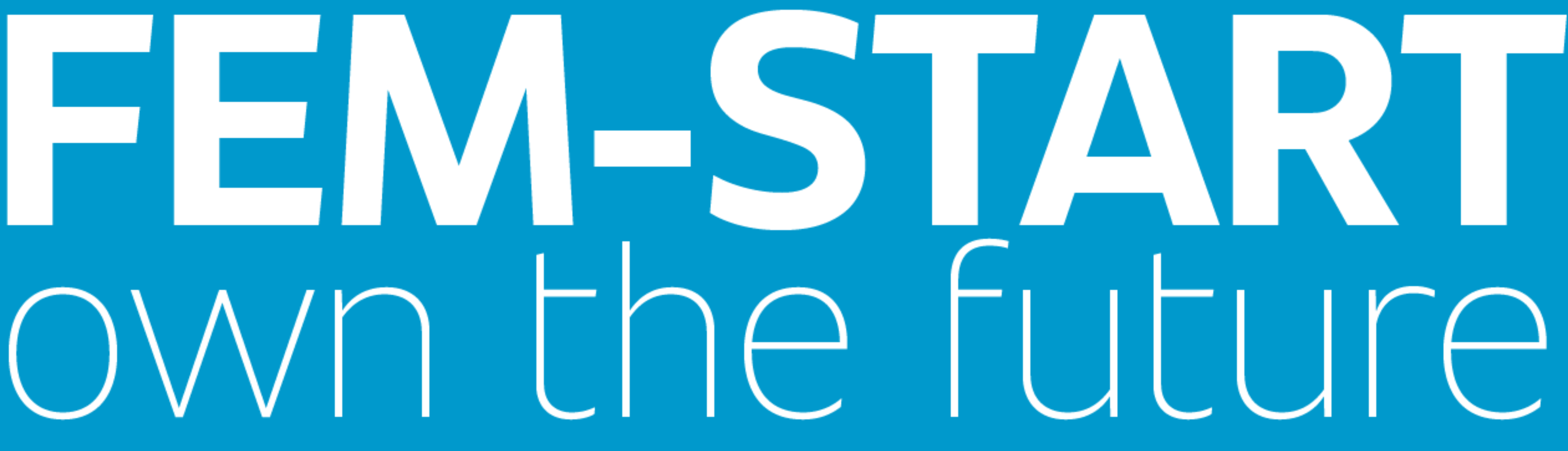 fem start logo 